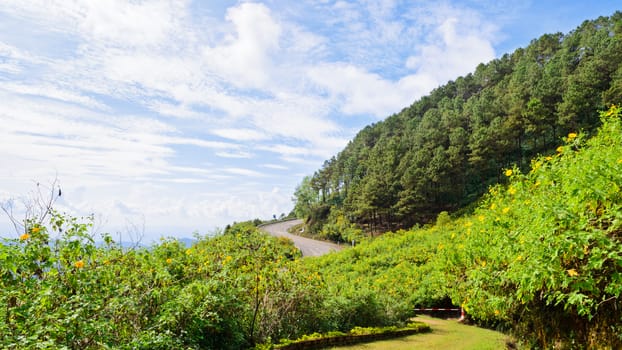 Scenic nature Doi Mae Uko mountain at Mae Hong Son province in northern of Thailand