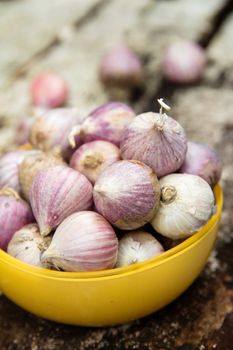 fresh organic garlic Background