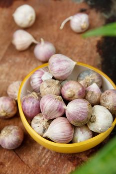 fresh organic garlic background