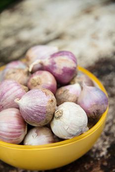 fresh organic garlic background