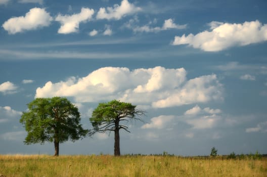 Beautiful Landscape with a Lonely Tree under sky