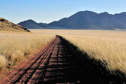 Road, grass and mountain landscape
