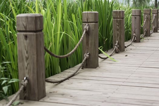 wooden path with railing in the park