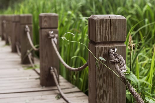 wooden path with railing in the park