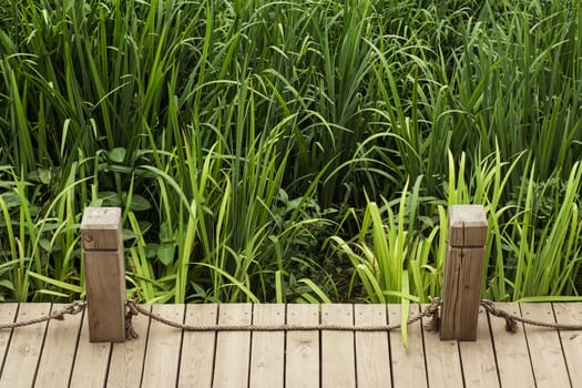 wooden path with railing in the park