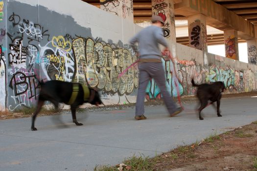 Atlanta, GA, USA - November 2, 2013:  Motion blur of man walking two dogs along a graffiti covered overpass that is part of the 22-mile Atlanta Beltline. This urban redevelopment project will eventually connect 45 intown Atlanta neighborhoods. 