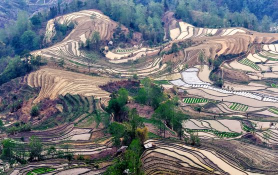 Yuan Yang Rice Terraces - "Tiger Mouth" under the sunset in yunnan province of China.