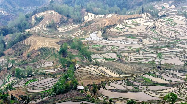 Yuan Yang Rice Terraces - "Tiger Mouth" under the sunset in yunnan province of China.