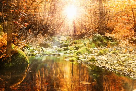 beautiful autumn fall calm tranquil stream