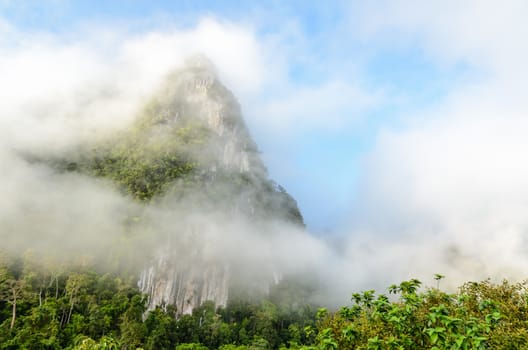 Lush high limestone mountain covered by mist surrounded by tropical forests of Thailand.