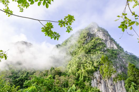 Lush high limestone mountain covered by mist surrounded by tropical forests of Thailand