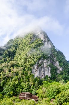 Lush high limestone mountain covered by mist surrounded by tropical forests of Thailand