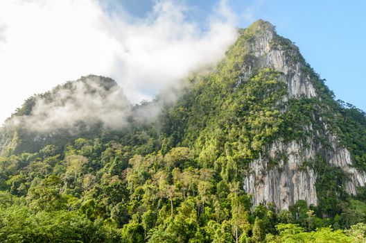 Lush high limestone mountain covered by mist surrounded by tropical forests of Thailand