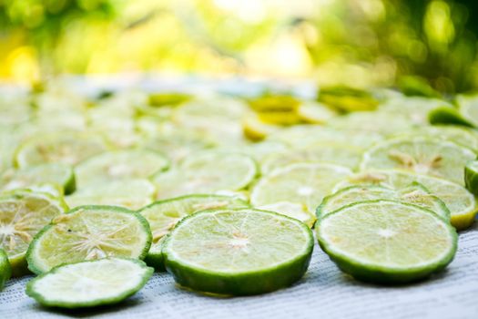 Close-up of fruit lemon slices