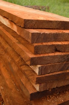 Wood for industrial applications.