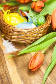 Colorful Easter eggs in basket and orange tulip on wooden background.