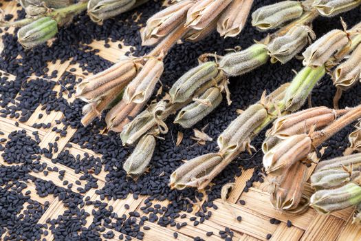 Sesame seed and plant on bamboo basket- closed up