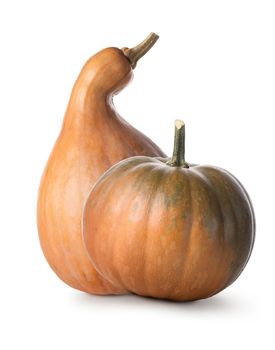 Orange pumpkin isolated on a white background