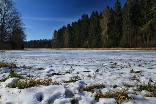 Photo presents winter countryside with snow, trees and blue sky in the Czech republic.