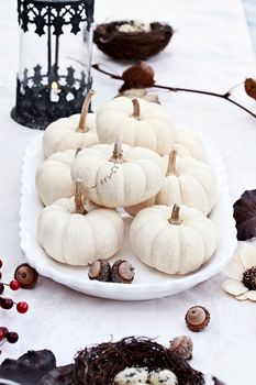 Beautiful table set with white pumpkins and natural items ready for an autumn meal.