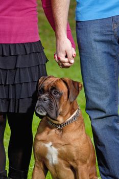 Young Couple with their Dog Holding Hands