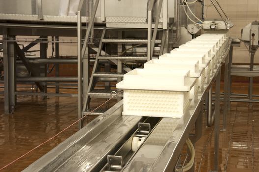 Industrial production of hard cheeses. Cheese is very tasty and healthy product