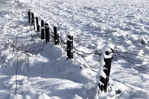 Barbed wire fence with snow - black and white photo