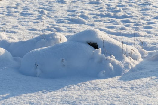 Stones on snow meadow - winter rural field