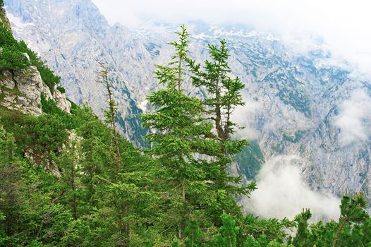 Bavarian landscape at Alps with low clouds