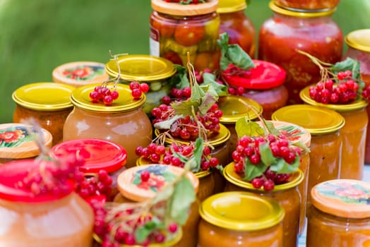 a Home canned vegetables in the garden in summer