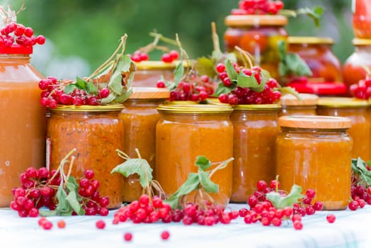 a Home canned vegetables in the garden in summer