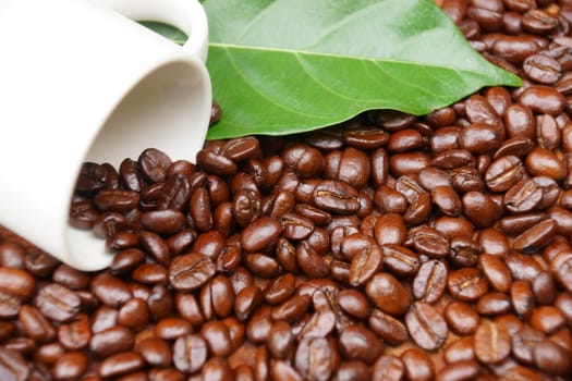 Coffee beans on the wooden background.