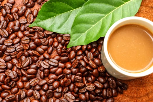 Coffee and beans on the wooden background.