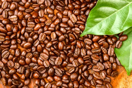 Coffee beans on the wooden background.