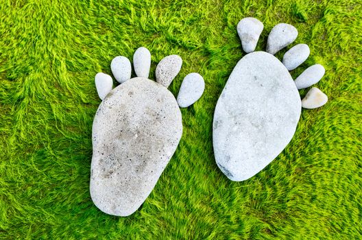 Footprint of a pebbles on a green seaweed