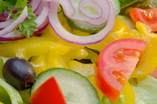 Photo shows details of various vegetable salad ingredients.