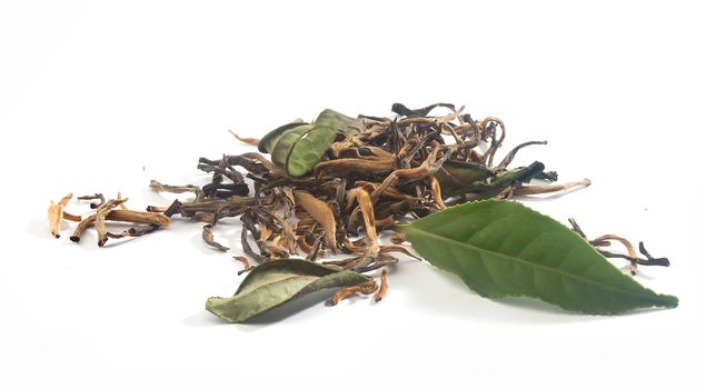 Fresh green and dried tea leaves on the white background