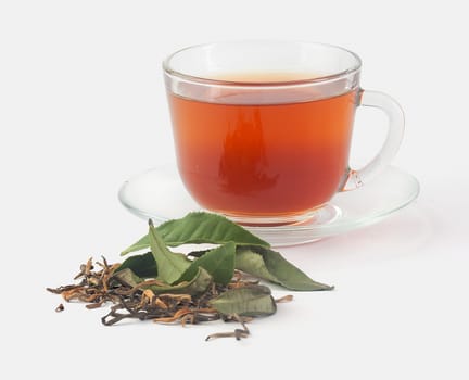 Transparent tea cup with fresh and dried tea leaves on the gray