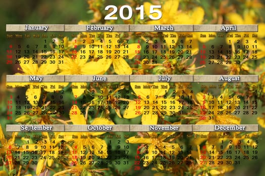 office calendar for 2015 year on the yellow flowers of St.-John's wort background