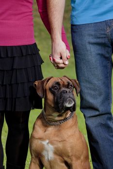Couple Holding Hands with their Dog in Front of them