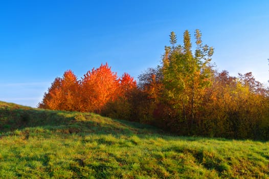 autumn sunny landscape







autumn landscape