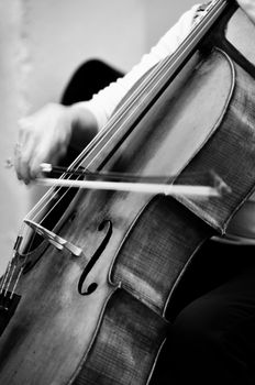 Black and white image of a lady playing the cello, with slight movement of the hand apparent.