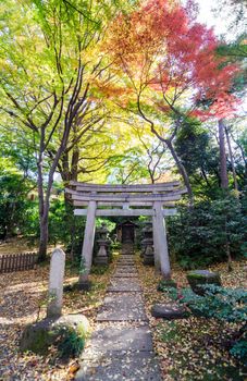Japanese Traditional Temple in Autumn Garden, Tokyo, Japan