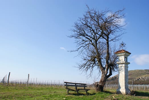 Photo is showing various views onto Mikulov and its countryside.