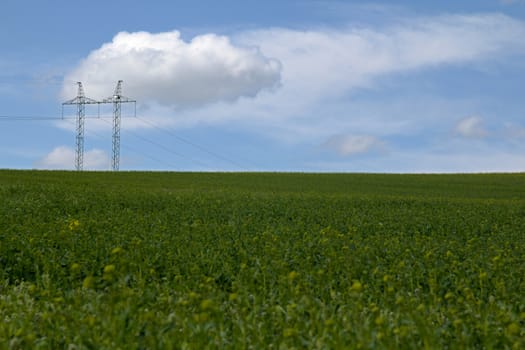 Photo shows green field with electric tower.