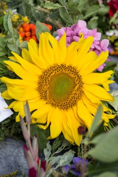 beautiful bouquets of flowers and herbs 