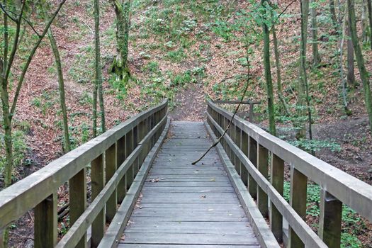 Wood bridge in deep forest, hiking trail