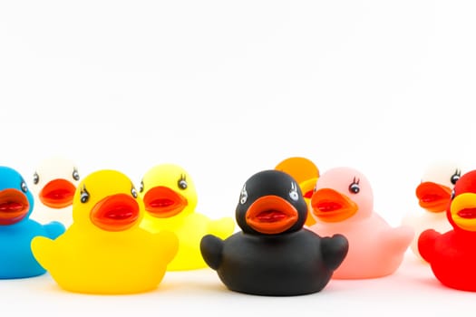 Diversity - Group of rubber ducks in different colors