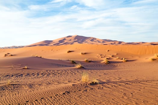 Sahara desert in Morocco