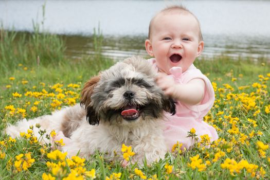 Sweet baby girl and puppy in a field of buttercups